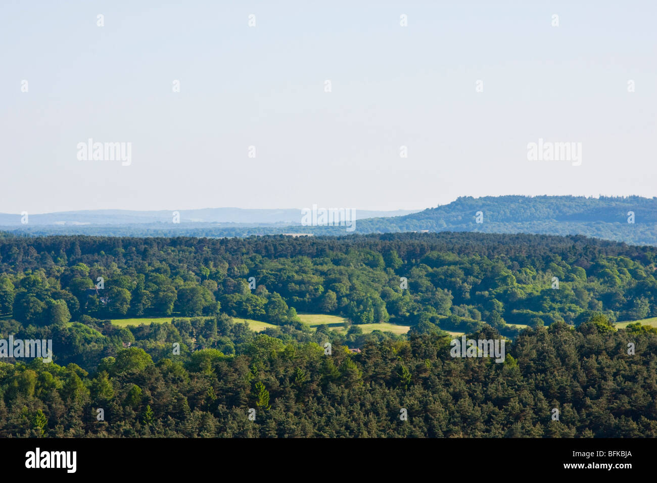 The North Downs viewed from Newlands Corner Guildford Stock Photo Alamy