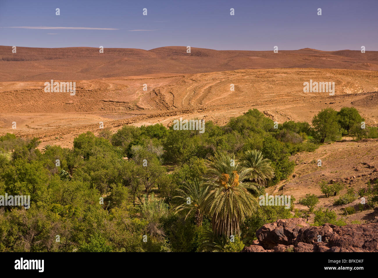 AIT SAOEN, MOROCCO - Atlas mountain landscape with palm trees near Ait Saoen. Stock Photo