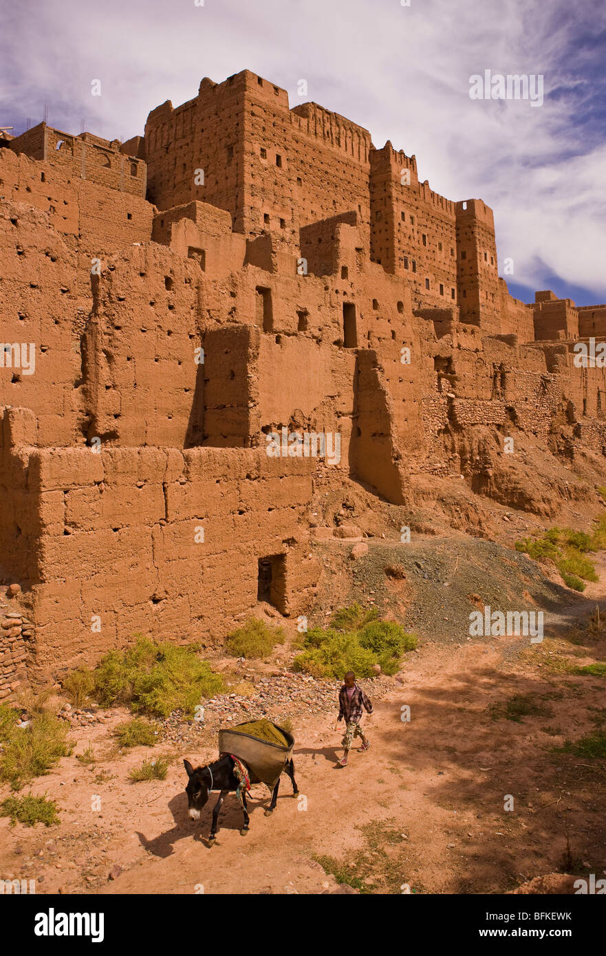 AGDZ, MOROCCO - Boy and donkey at Tamnougalt kasbah, in the Atlas Mountains. Stock Photo