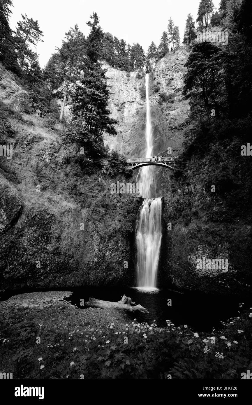 Multnomah falls in the Columbia river gorge, Oregon, USA Stock Photo