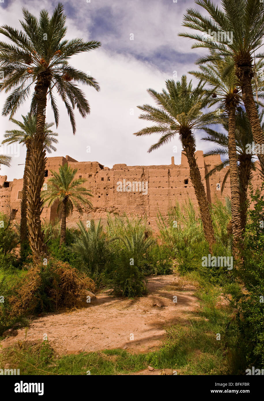 AGDZ, MOROCCO - Tamnougalt kasbah and palm trees, in the Atlas Mountains. Stock Photo