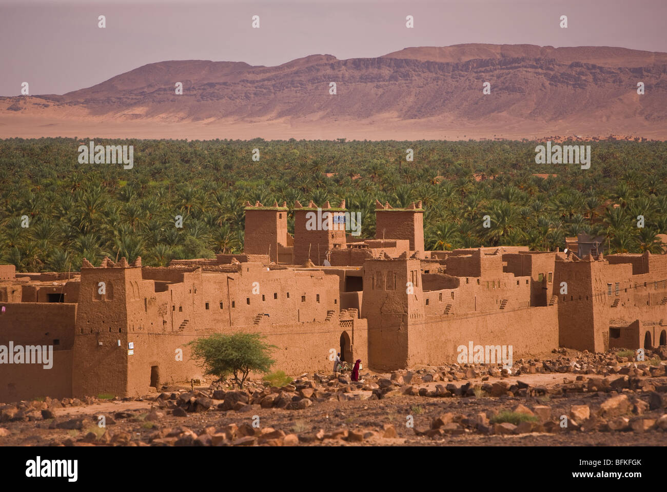DRAA VALLEY, MOROCCO - Mud brick kasbah and date palm trees. Stock Photo