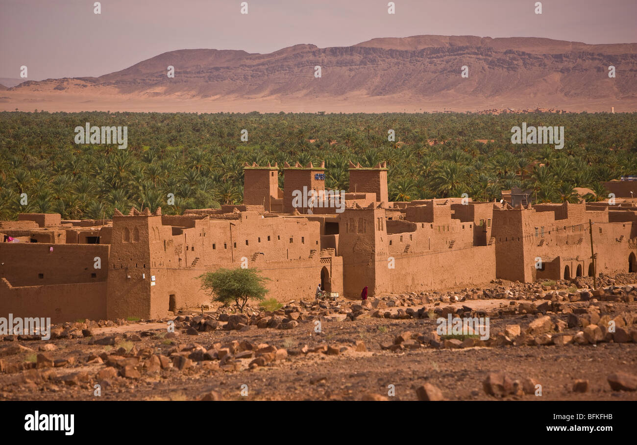 DRAA VALLEY, MOROCCO - Mud brick kasbah and date palm trees. Stock Photo