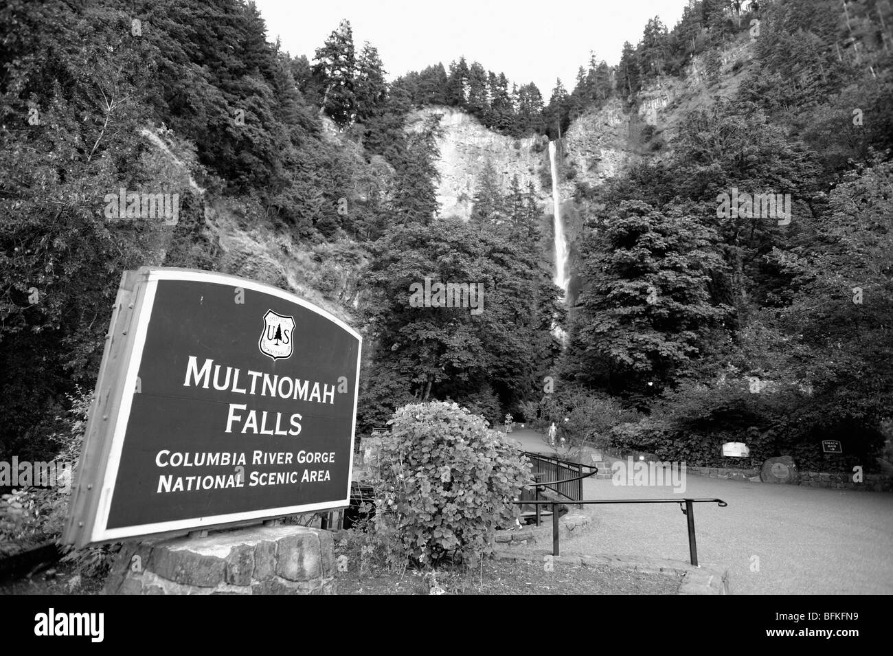 Multnomah falls in the Columbia river gorge, Oregon, USA Stock Photo