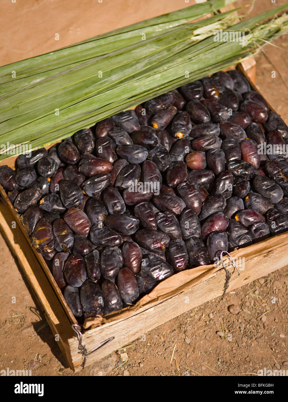 AGDZ, MOROCCO - Box of dates in market in Agdz, in the Draa Valley. Stock Photo