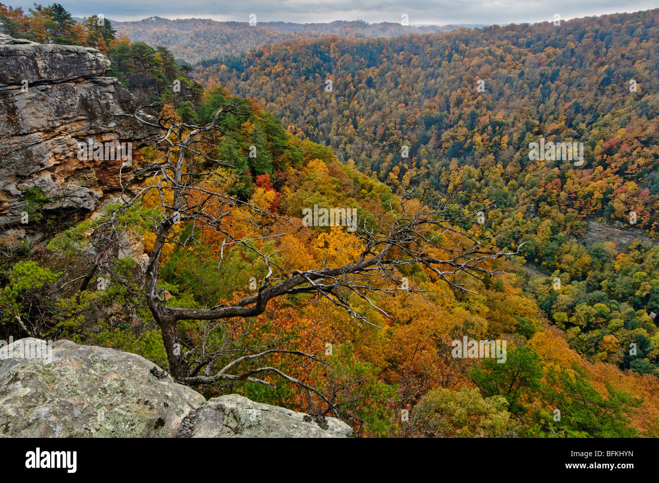 Autumn Color on Mountainside in Breaks Interstate Park in Virginia