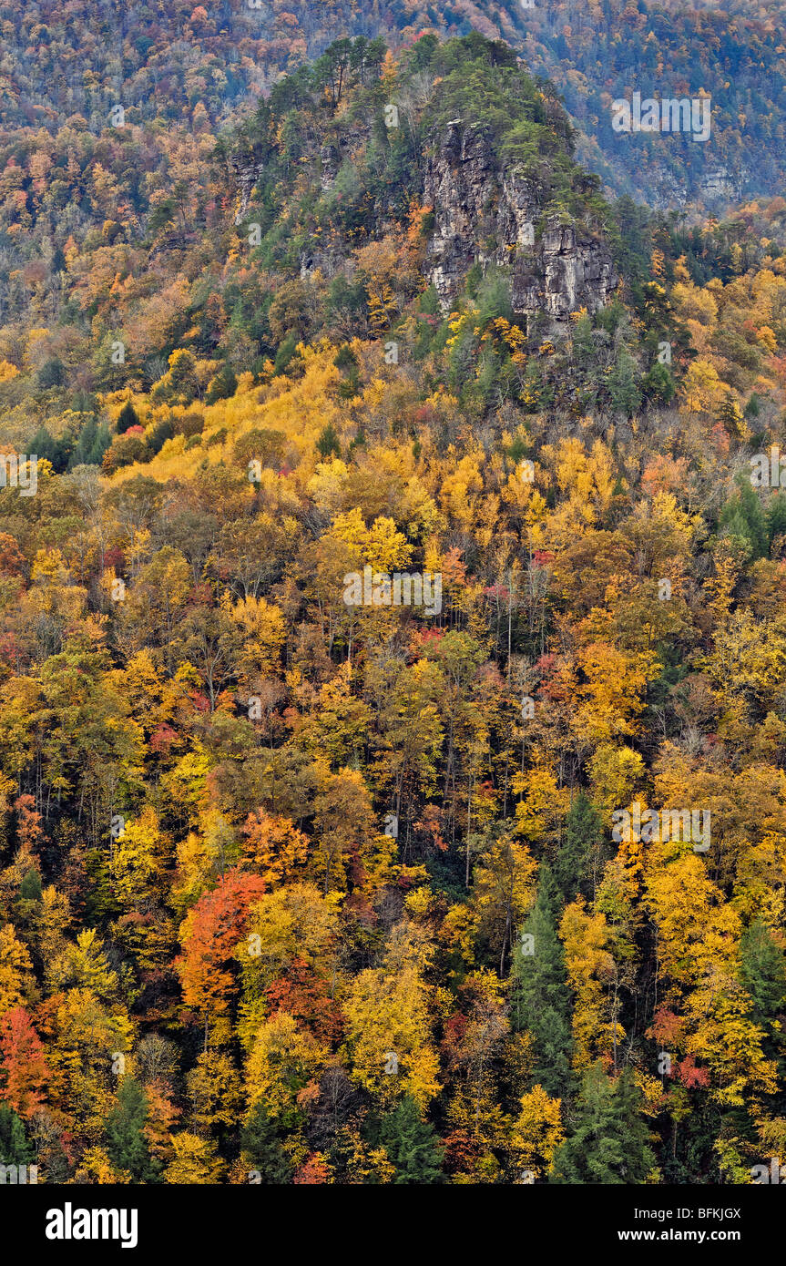 Autumn Color on the Flanks of the Towers in Breaks Interstate Park in