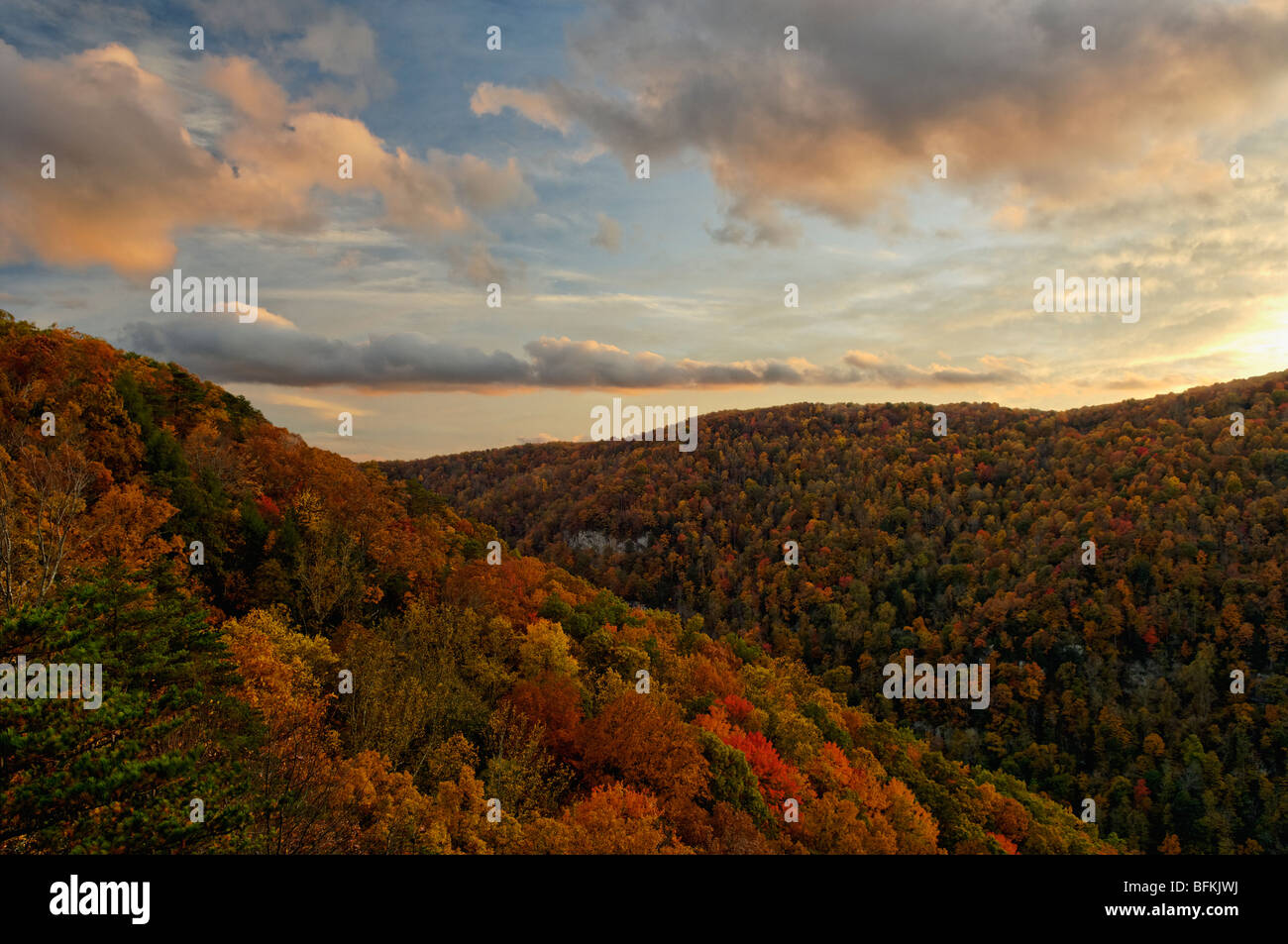 Paper Paper & Party Supplies Nature Photography Landscape Photography