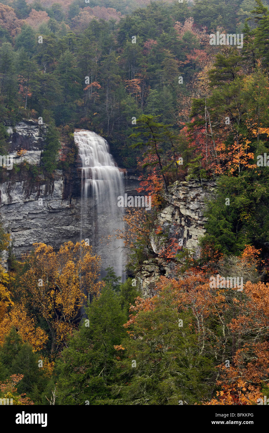 View of Fall Creek Falls and Autumn Color in Fall Creek Falls State