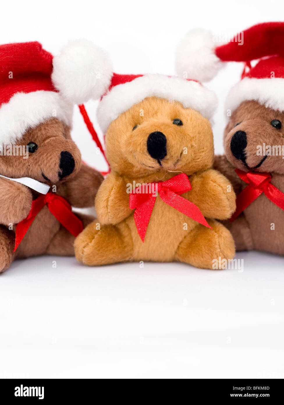 christmas teddys
