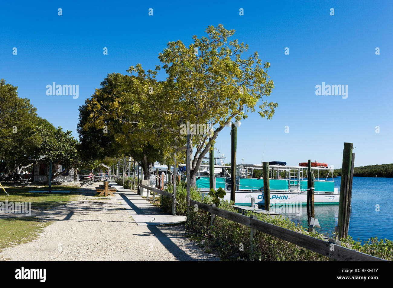 Boat tour embarkation area in the Marina at the John Pennekamp Coral