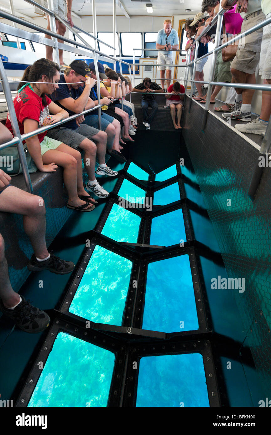 Viewing area on official Glass Bottom Boat tour over the reef in John Pennekamp Coral Reef State Park, Key Largo, Florida Keys Stock Photo