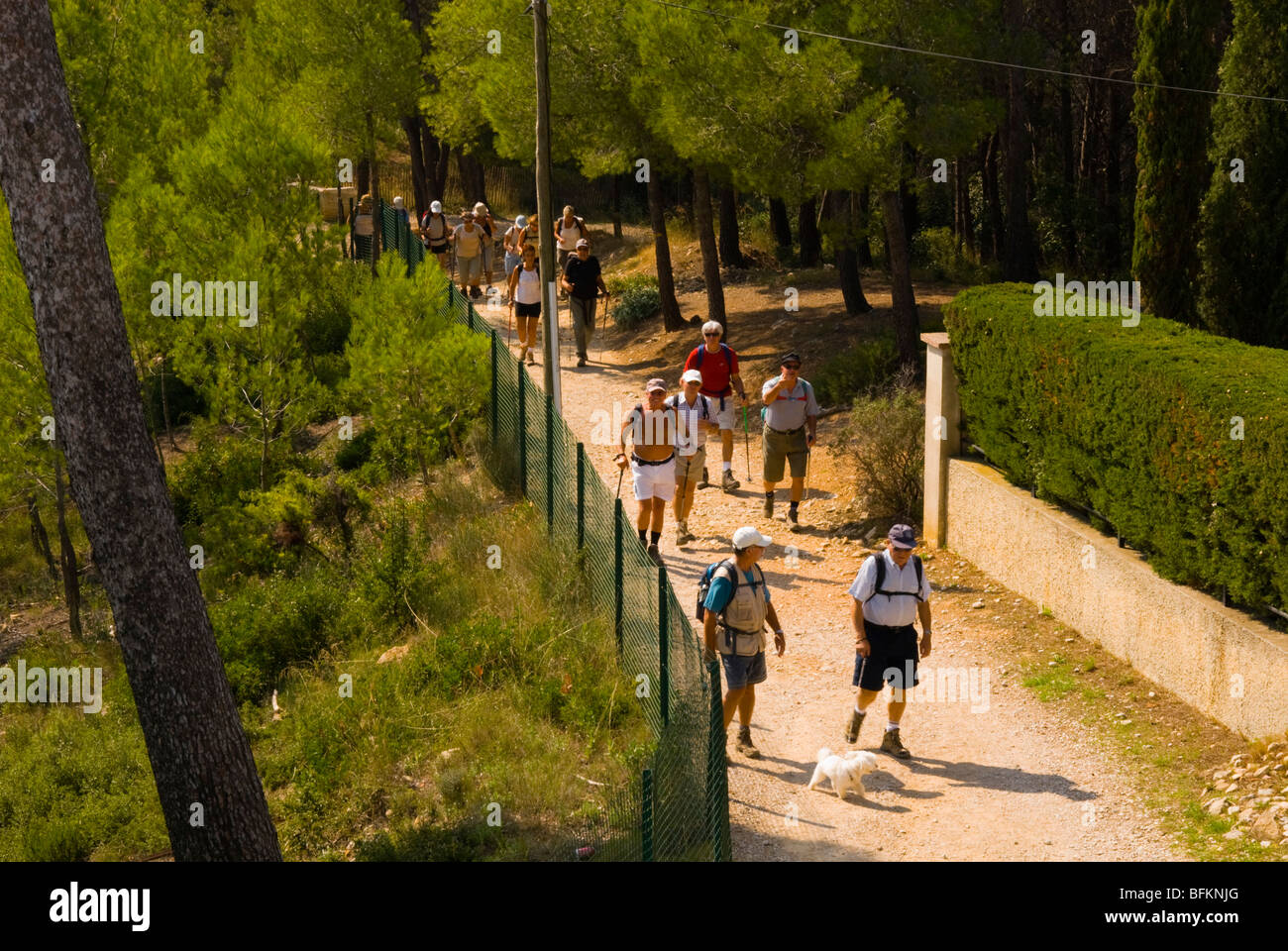 Walkers in the coastal forest near La Madrague Southern France Stock Photo