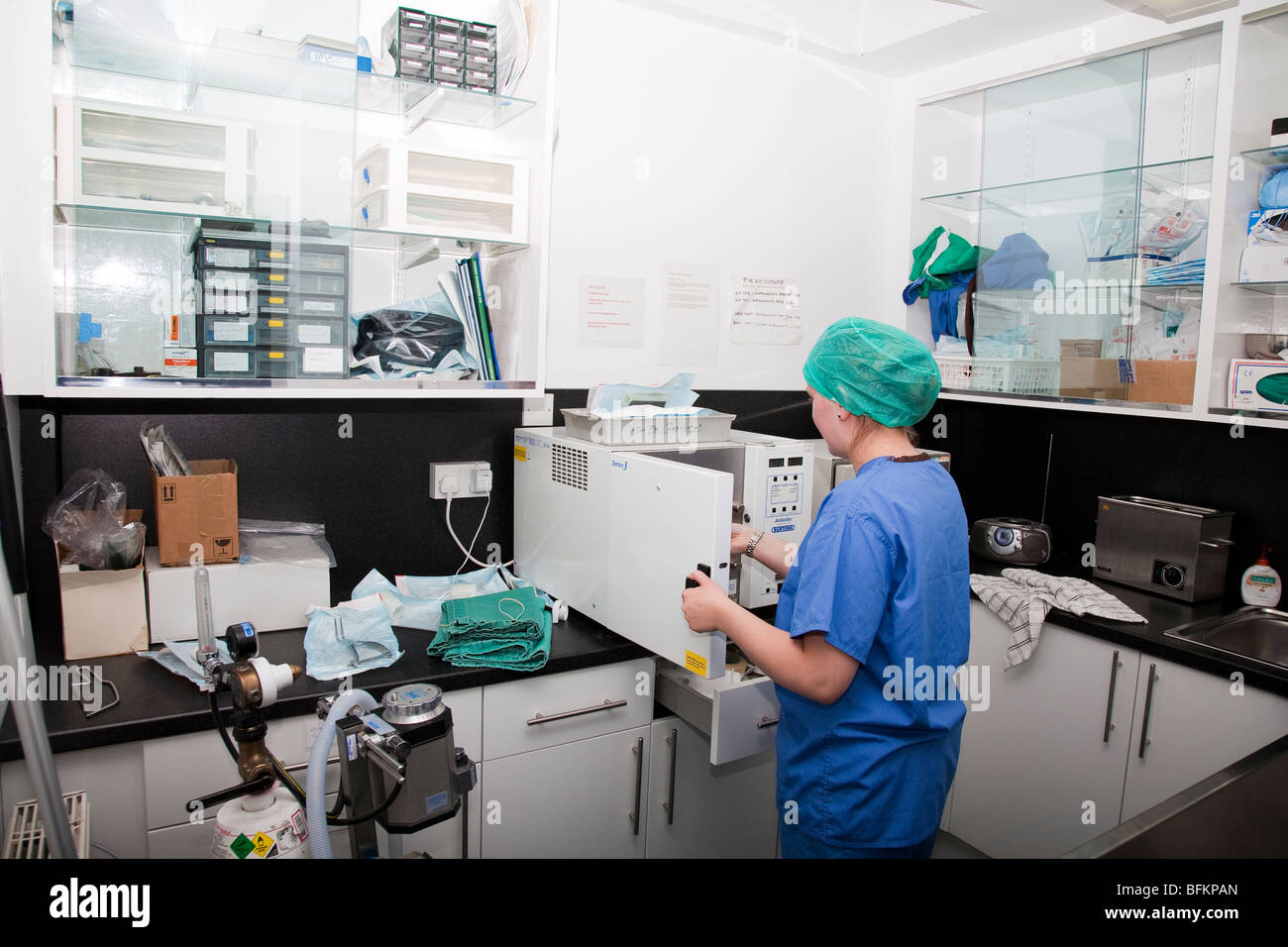 Veterinary Nurse Placing Instruments in an Autoclave Stock Photo