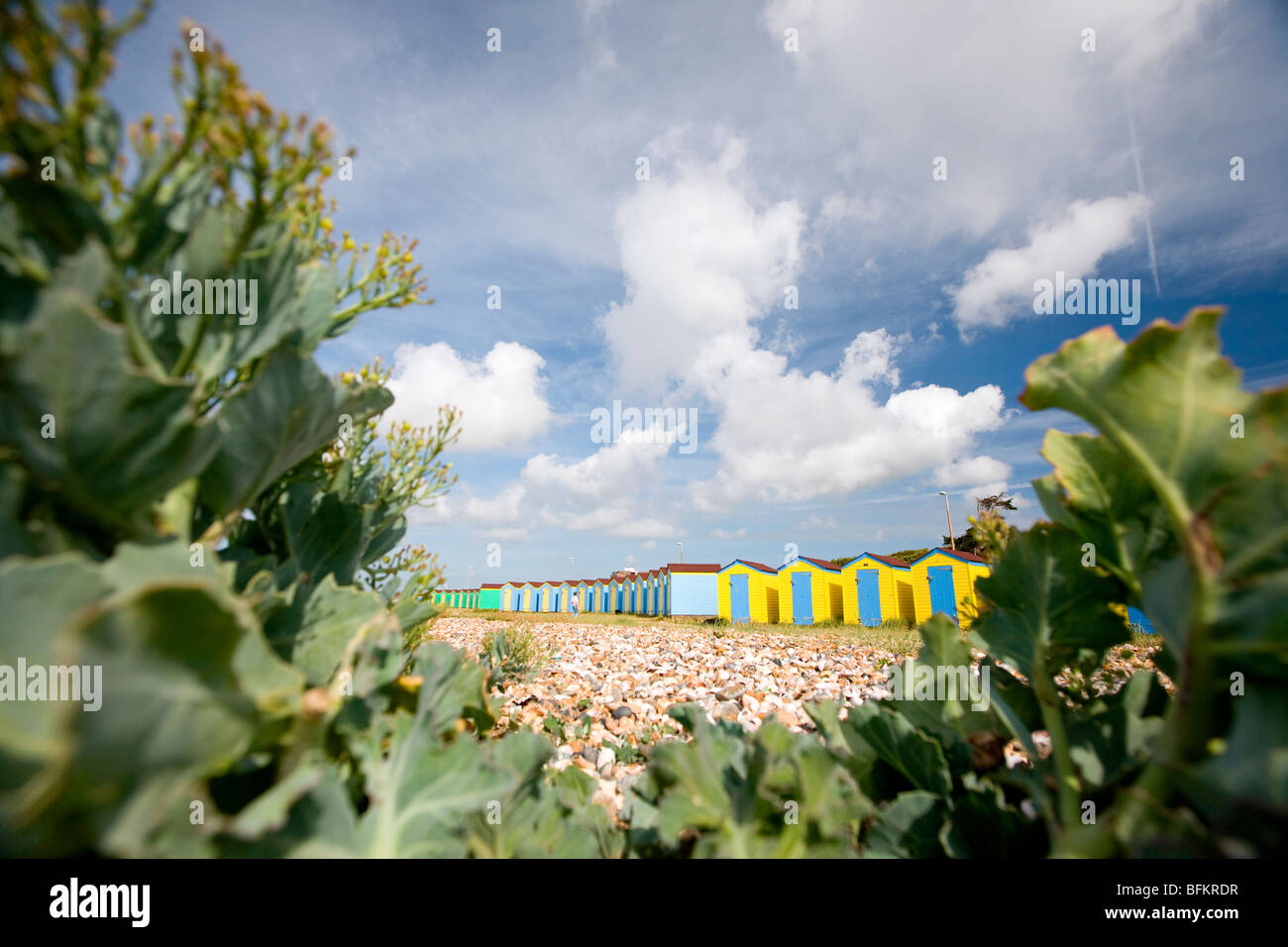Blue yellow beach huts on East Beach, Littlehampton, West Sussex, England, Britain Stock Photo