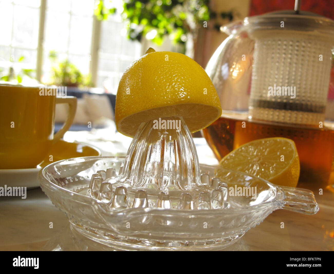 Freshly squeezed lemon juice in juice Stock Photo Alamy