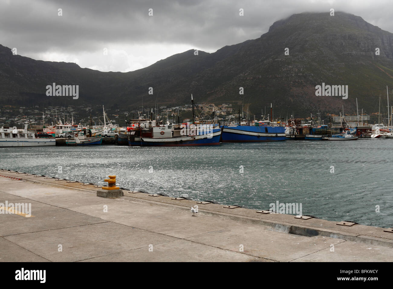 Fisherman's Boats at Hout Bay, West Cape, South Africa, November 2009 Stock Photo