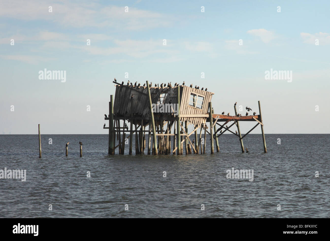 Old abandoned stilt house in Cedar Key, Florida, USA Stock Photo Alamy