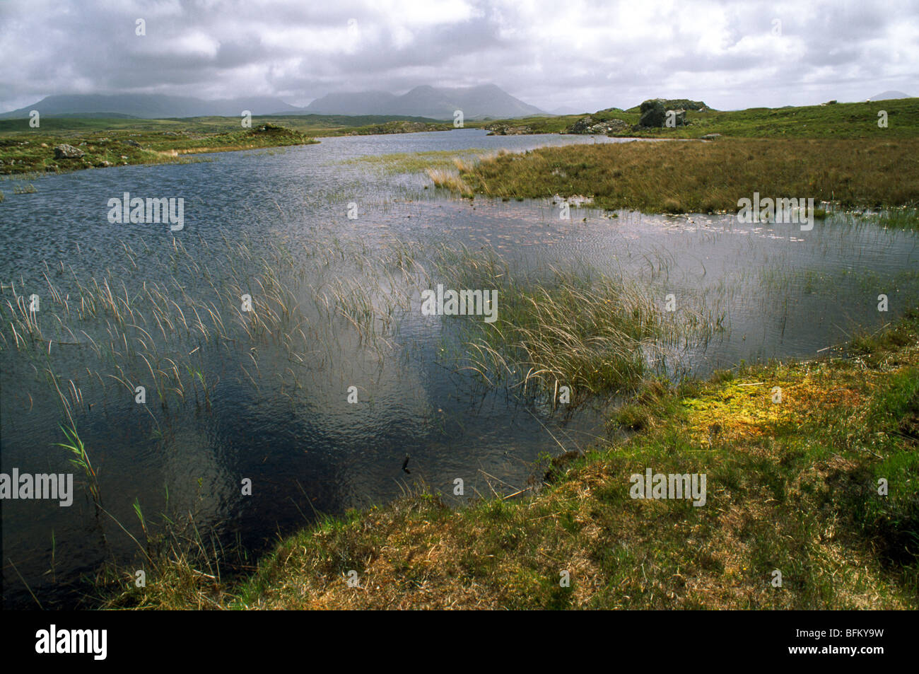 Blanket Bog ,Roundstone, Connemara, Galway, Ireland Stock Photo Alamy