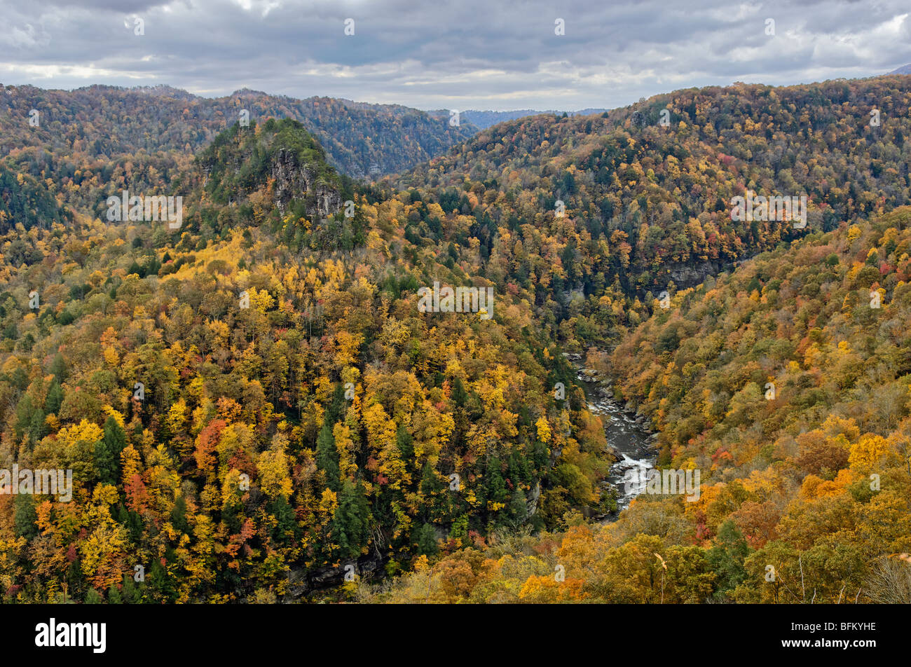 View of Autumn Color on the Towers with the Russell Fork River below in
