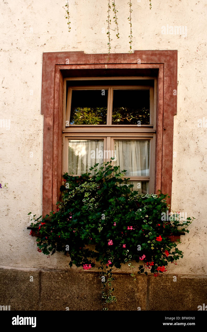 Window in stone wall with flower box Stock Photo