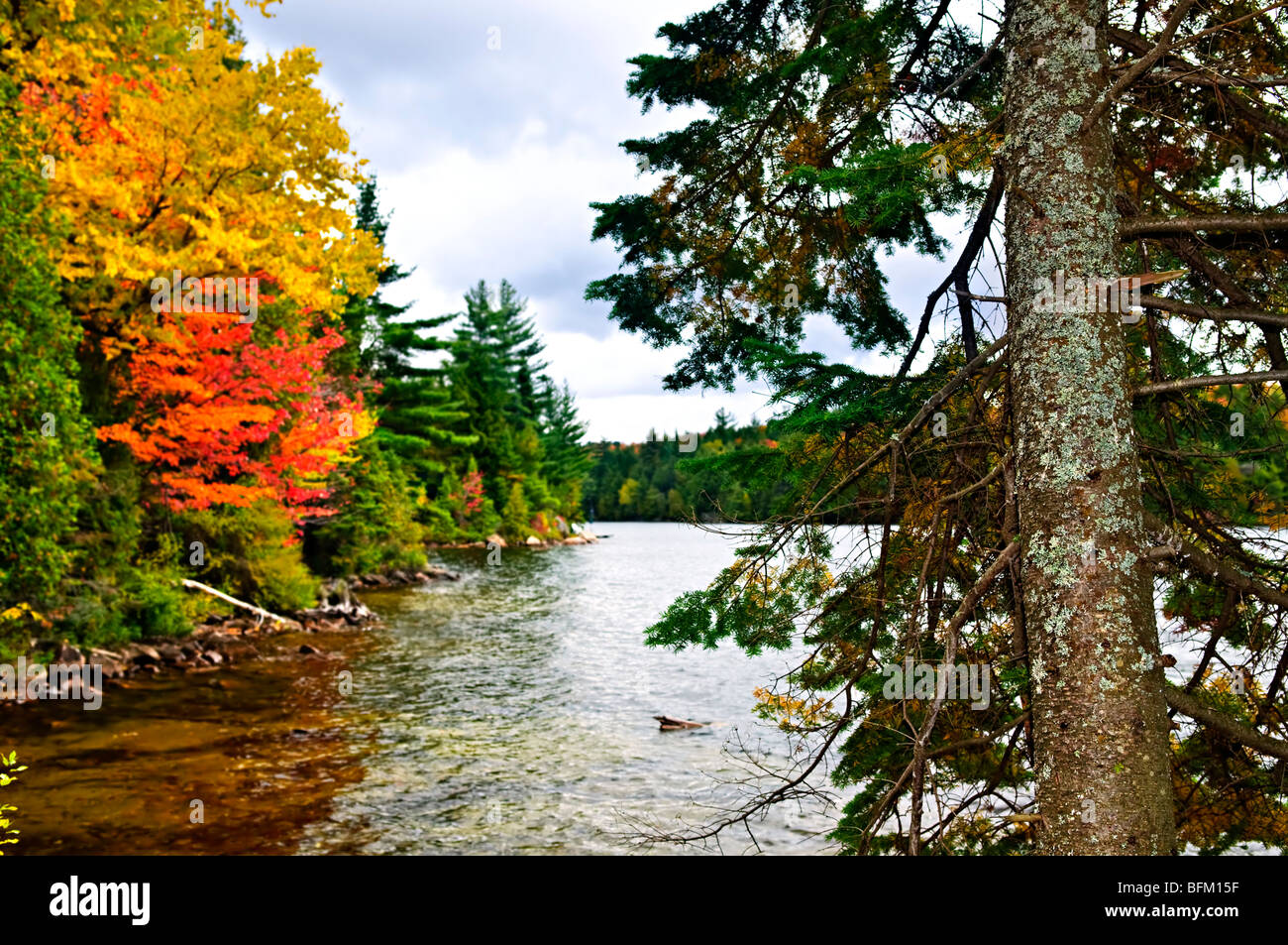 Lake shore of fall forest with colorful trees Stock Photo - Alamy
