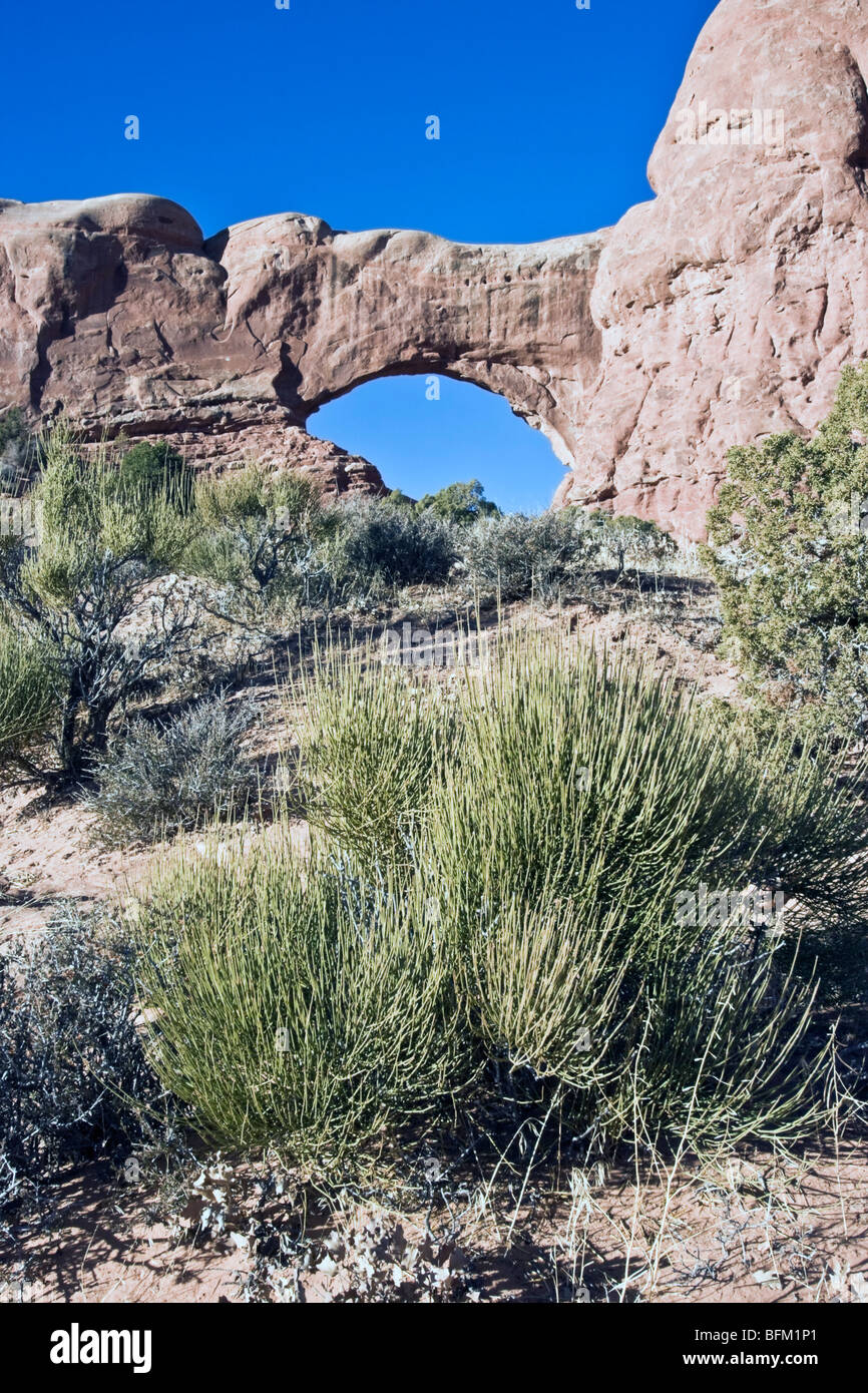 North window rock arch hi-res stock photography and images - Alamy