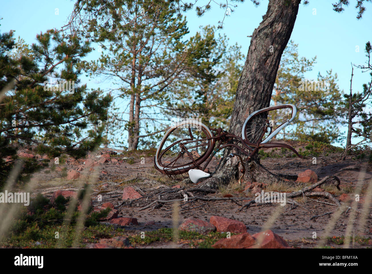 Bicycle twisted by floodwaters on a beach of the Baltic Sea in Sweden. Stock Photo