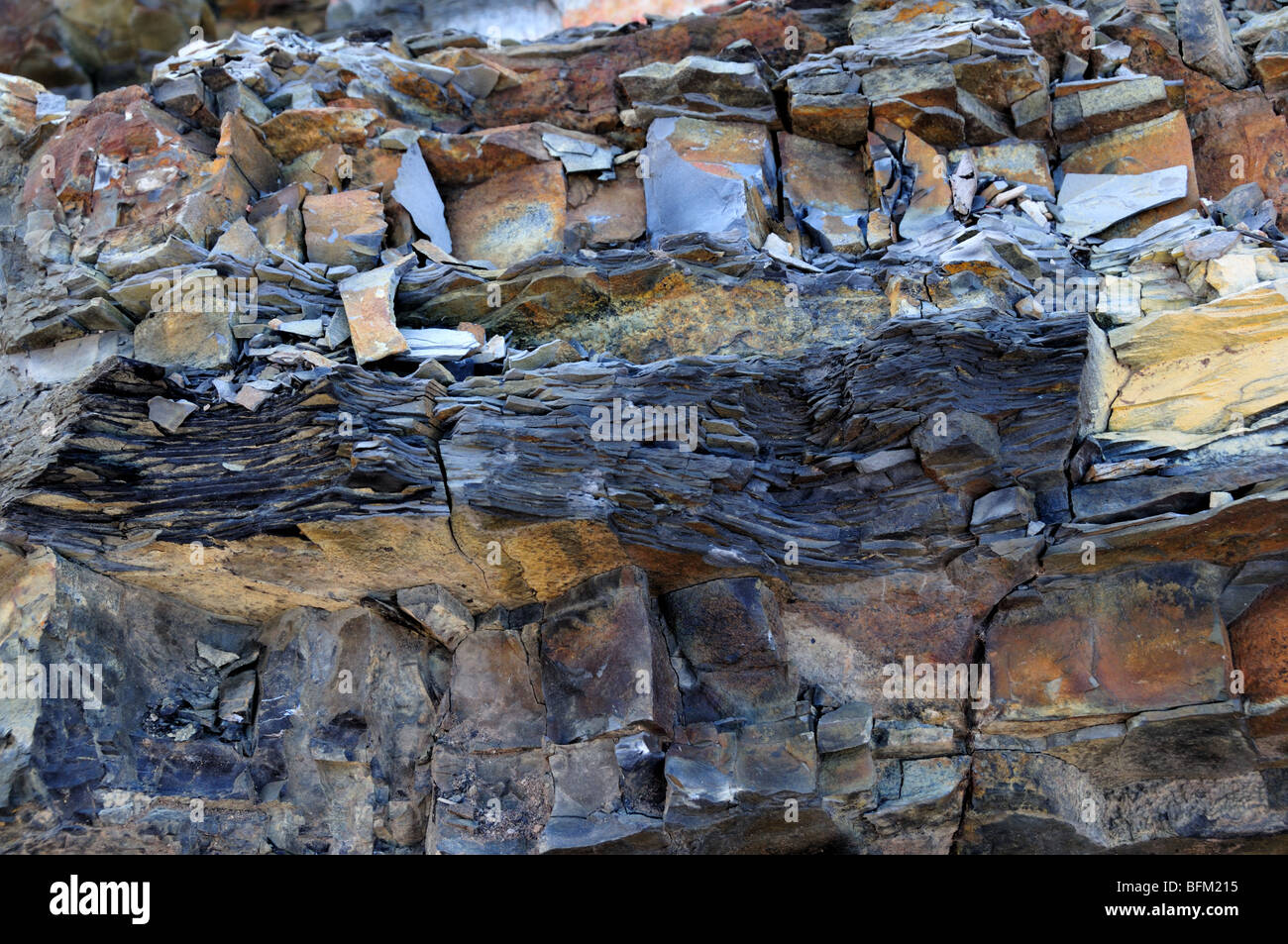 Organic rich shale rock, Oklahoma, USA. Stock Photo