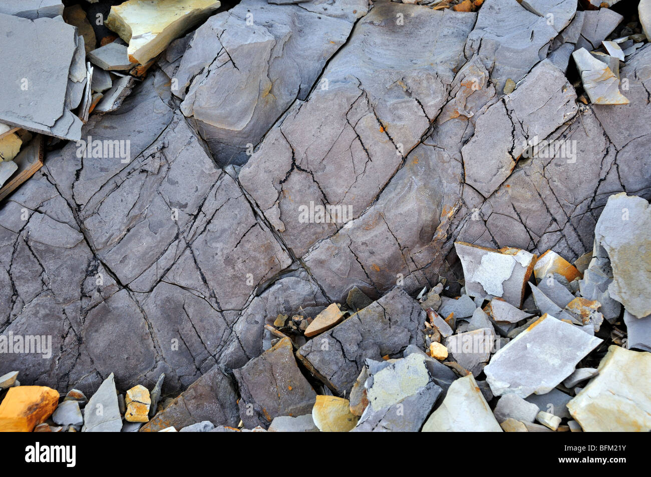 Fractured surface of shale rock, Oklahoma, USA. Stock Photo