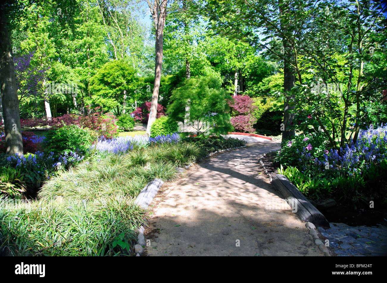 Keukenhof world's largest flower park (Holland Stock Photo Alamy