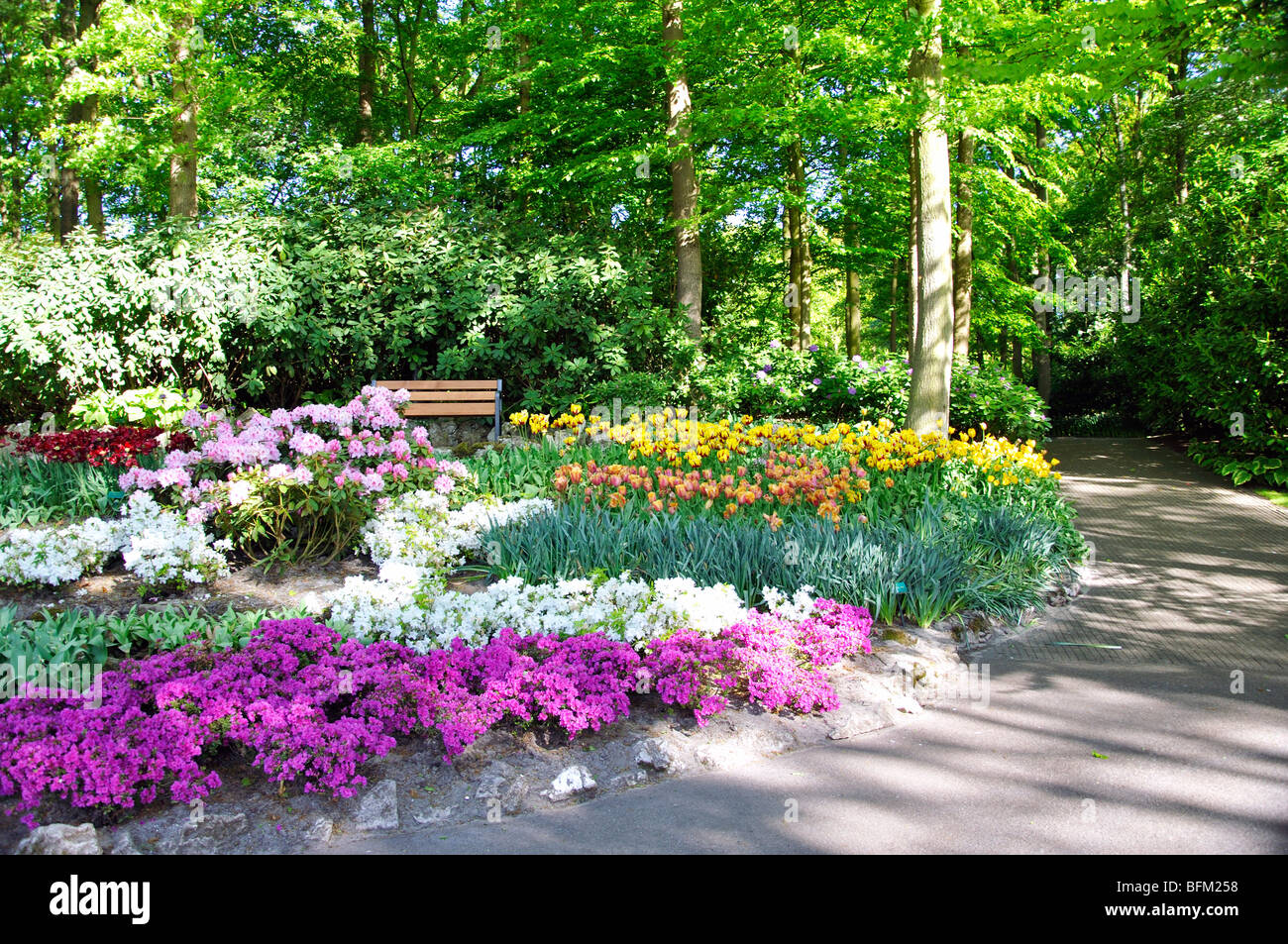 Keukenhof world's largest flower park (Holland Stock Photo Alamy