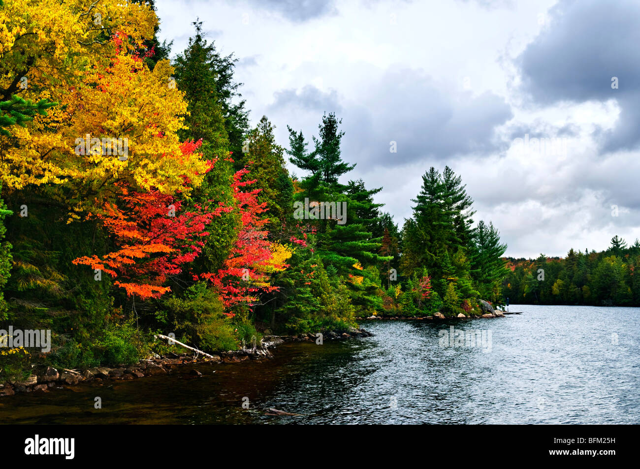 Fall trees lake hi-res stock photography and images - Alamy