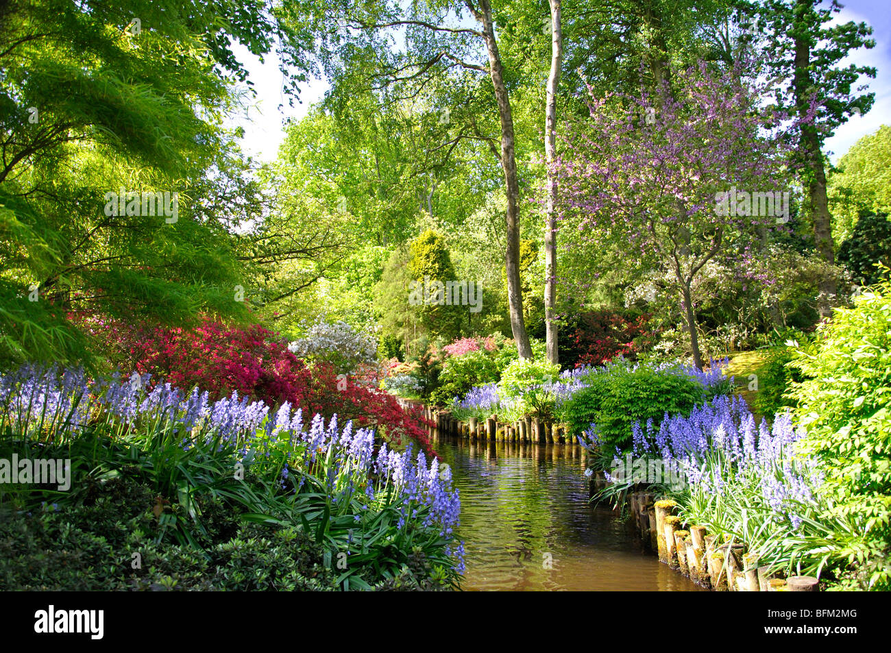 Keukenhof, Netherlands, world's largest flower park Stock Photo Alamy