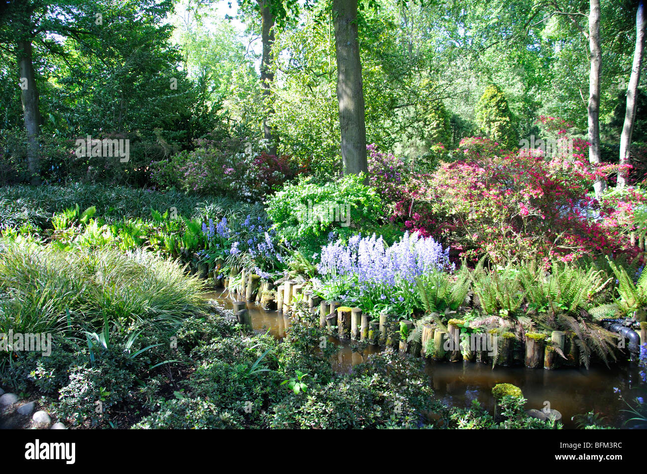 Keukenhof world's largest flower park (Holland Stock Photo Alamy