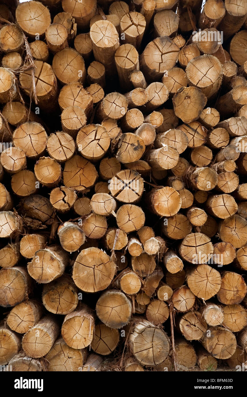 Australian hardwood logs stacked ready for milling Stock Photo Alamy