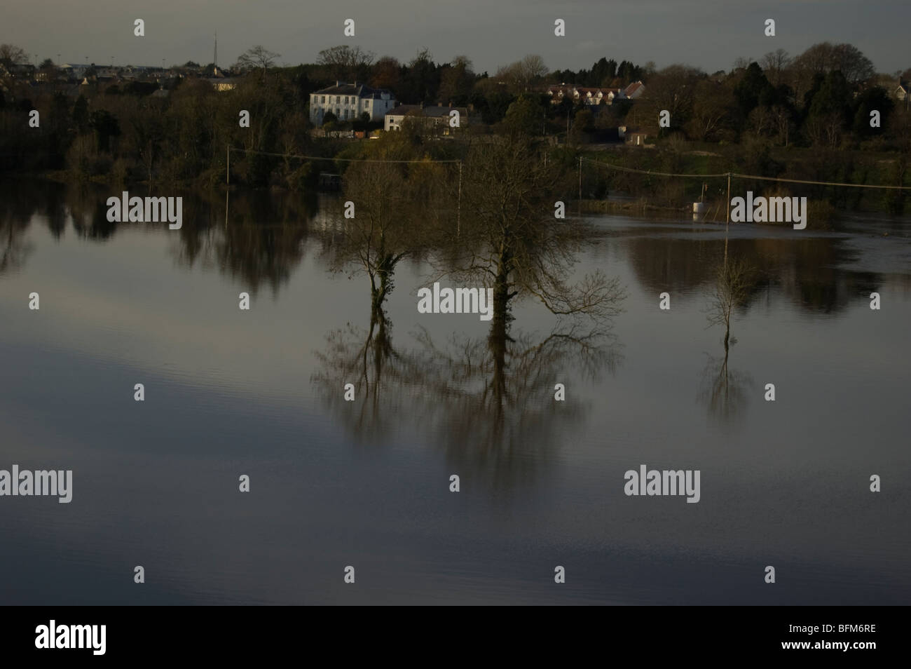Drowned trees during a flood in Fermoy, Co Cork, November 2009 Stock Photo