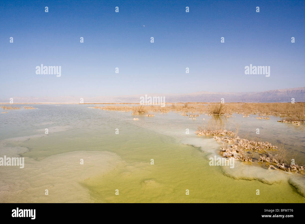 Israel, the shores of the Dead Sea Stock Photo