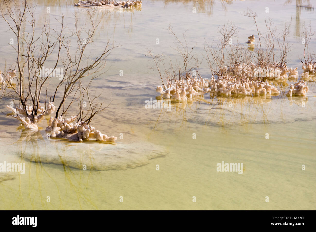 Israel, Dead Sea salt formation caused by the evaporation of the water Stock Photo