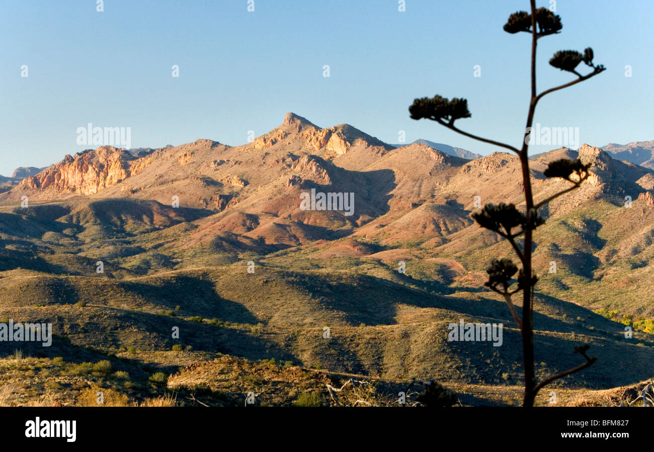 Galiuro Mountains as seen from The Vista Trail out of The Muleshoe Ranch. Stock Photo