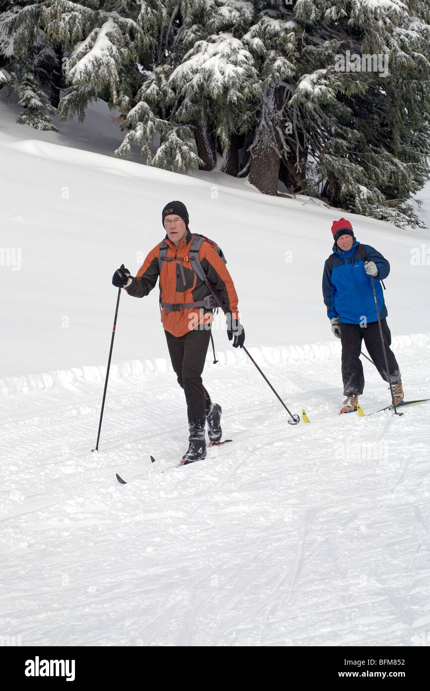 Senior citizen cross country or nordic skiers on a groomed trail at Mount Bachelor in the Oregon Cascade Mountains Stock Photo