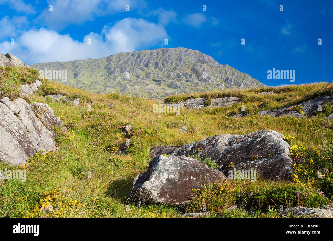 Sugarloaf Mountain, Beara, West Cork, Ireland Stock Photo
