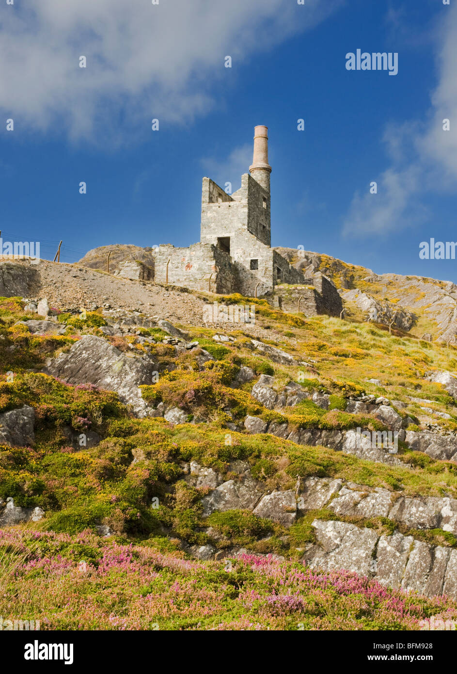 Mountain Mine, a 19th century ruined Cornish engine house in Allihies, Beara, County Cork, Ireland Stock Photo