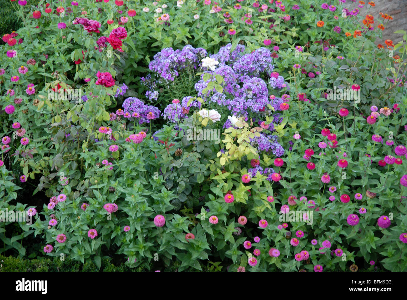 flowerbed, The Alhambra, Granada, Andalusia, Spain Stock Photo