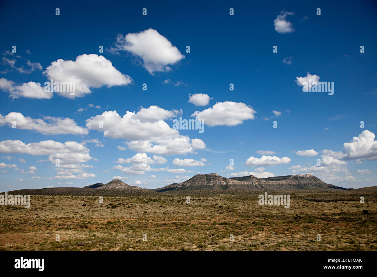 Desert terrain Big Bend national park Texas USA Stock Photo