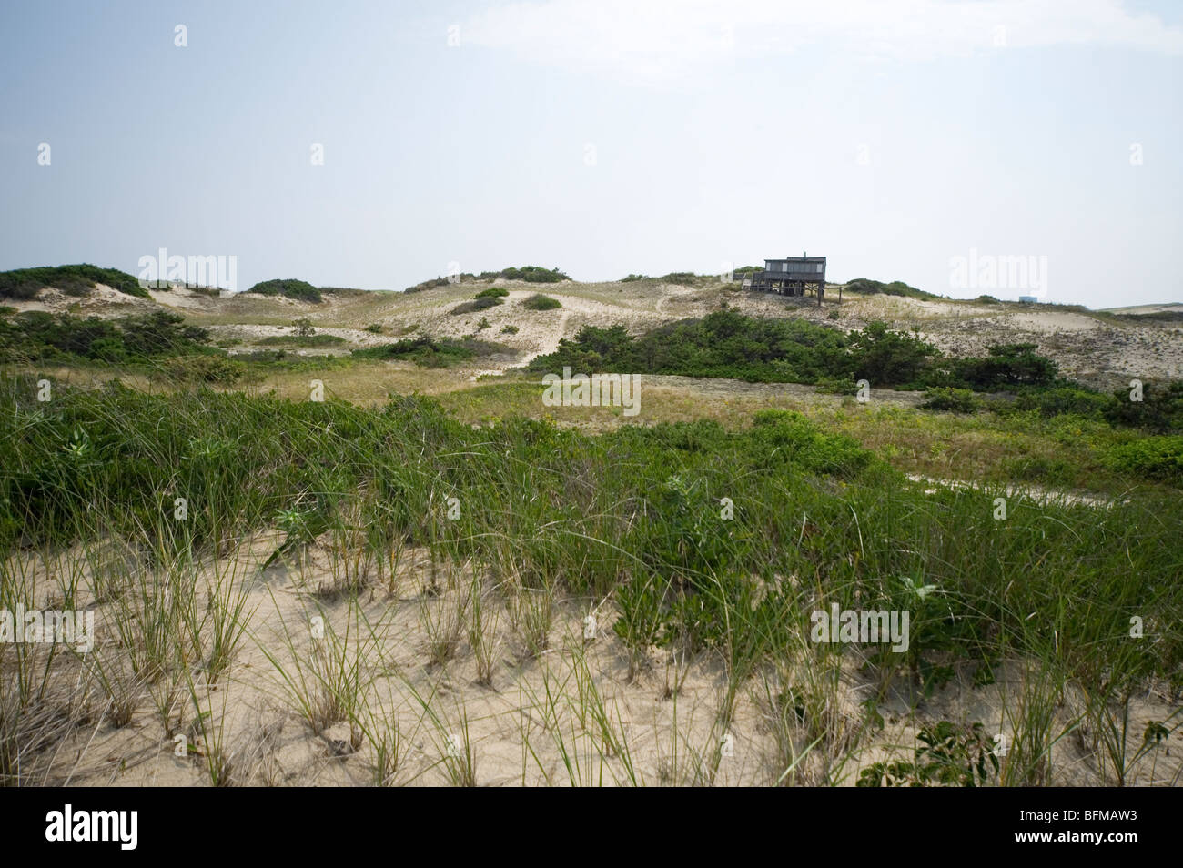 The Dunes, Provincetown, Cape Cod, Mass, USA Stock Photo