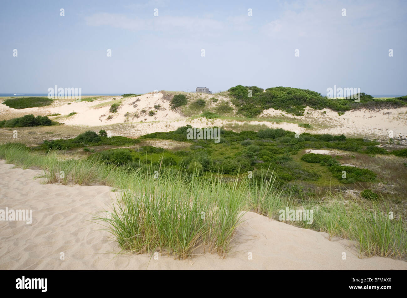 The Dunes, Provincetown, Cape Cod, Mass, USA Stock Photo