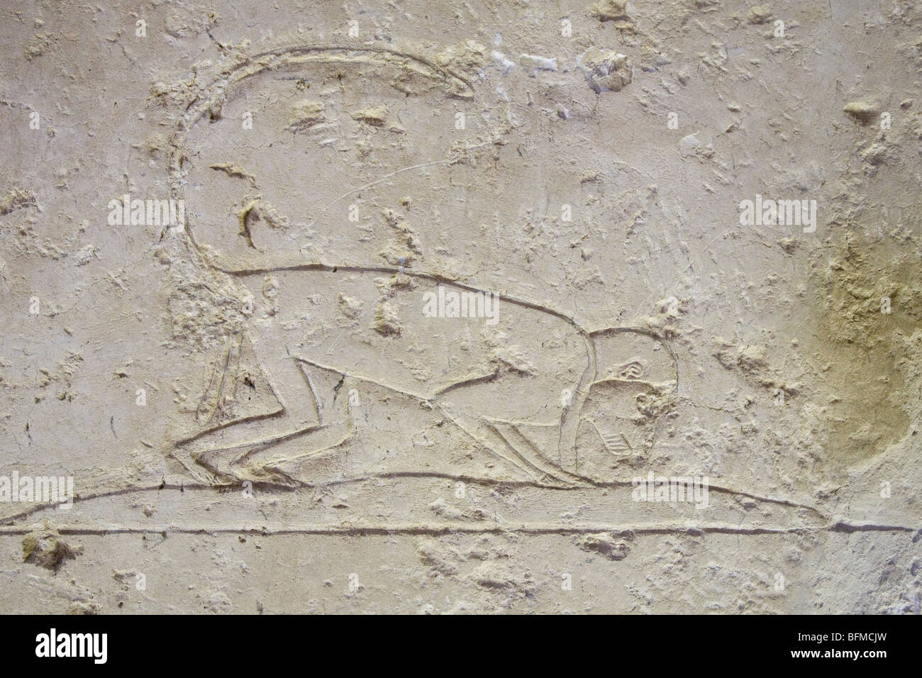 Relief of monkey in the Tombs at Meir , North West of Assyut in Middle Egypt Stock Photo