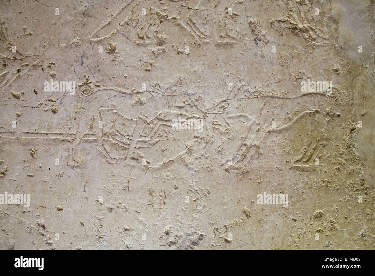 Reliefs of hunting dogs in the Tombs at Meir , North West of Assyut in Middle Egypt Stock Photo