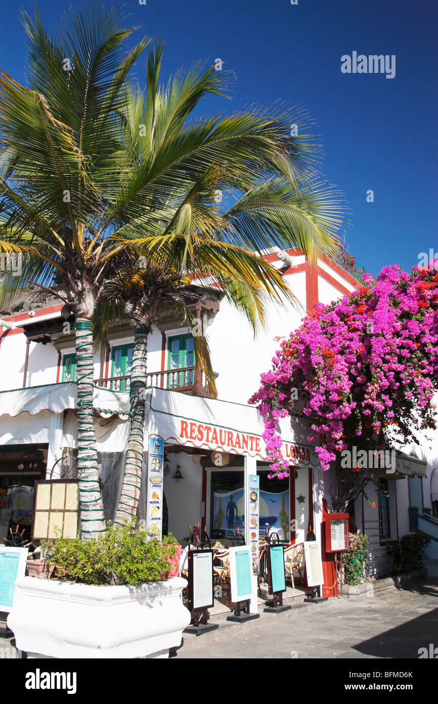 Palm Tree and bougainvillea outside restaurant overlooking marina in Puerto de Mogan on Gran Canaria Stock Photo
